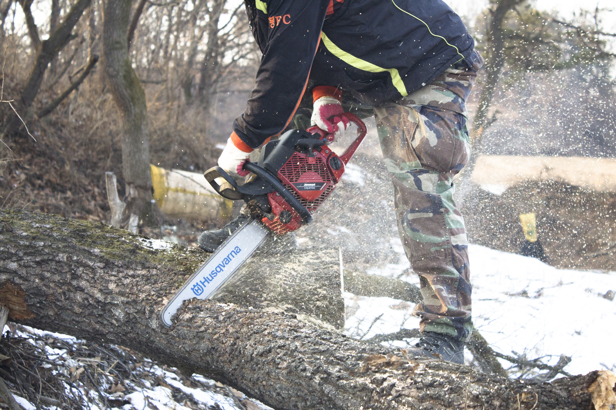 svc1 tree removal home