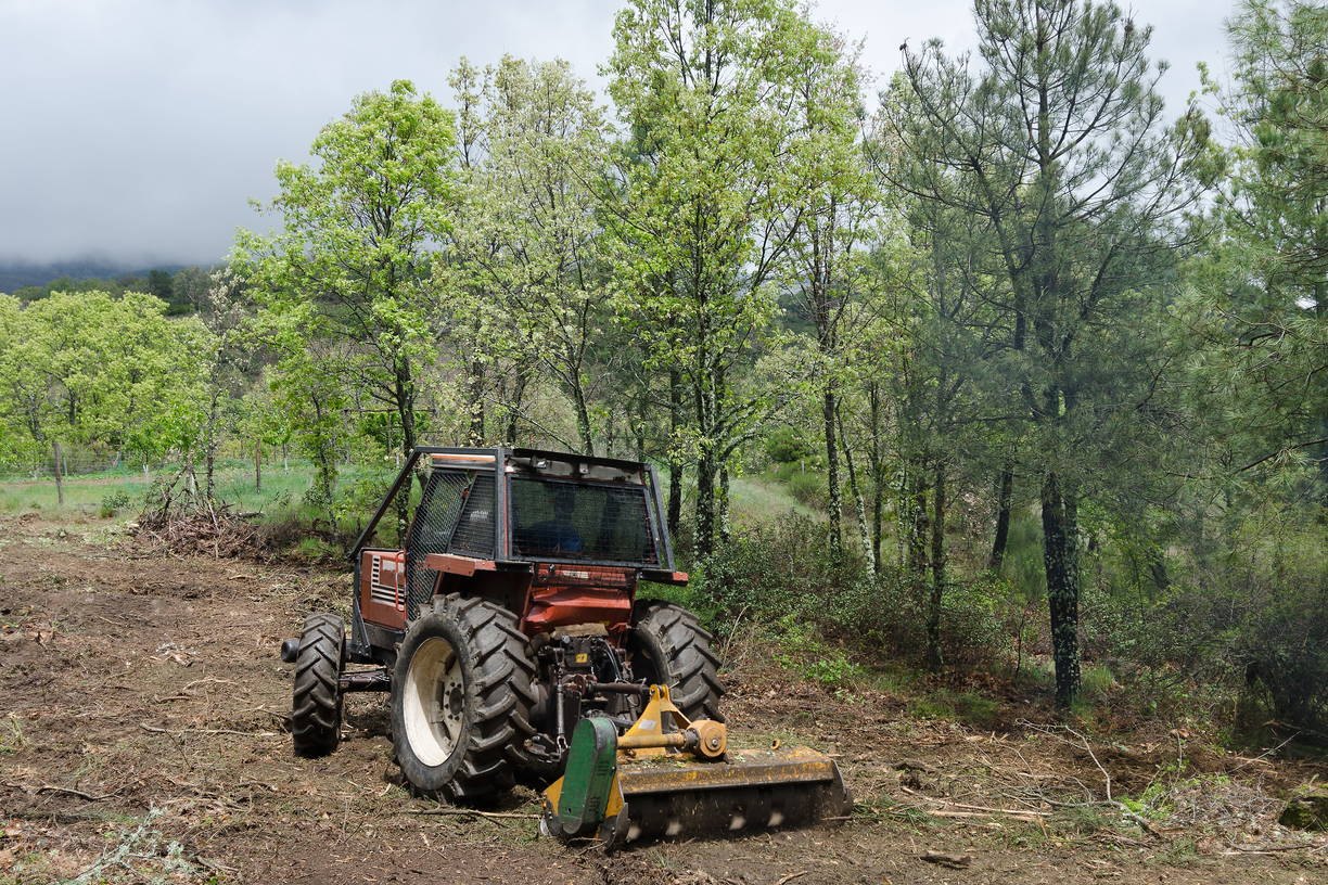 svc3 land clearing primary