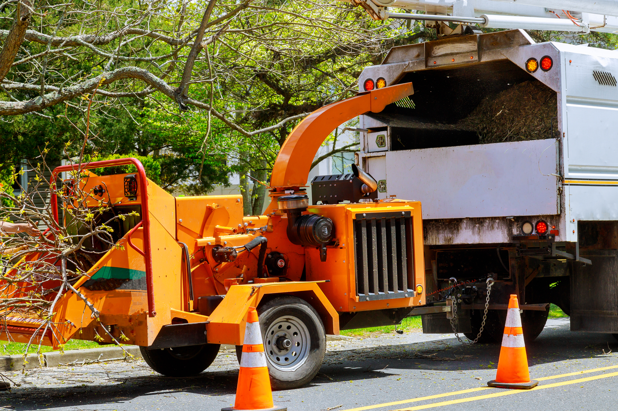 sld1 hazard tree removal