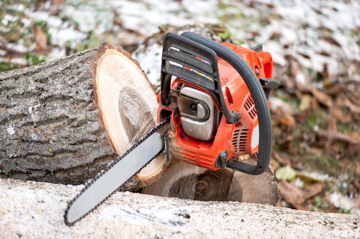 svc1 tree removal primary